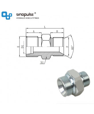 1DB - метрическая наружная резьба 24°HT × BSP наружная резьба, двойное 60 ° уплотнение седла 1DB - метрическая наружная резьба 24°HT × BSP наружная резьба, двойное 60 ° уплотнение седла