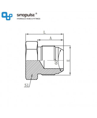 4S - JIS Gas Male 60° Конусная заглушка 4S - JIS Gas Male 60° Конусная заглушка
